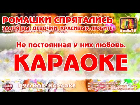 Видео: Караоке - "Ромашки спрятались" | или "Зачем вы, девочки, красивых любите"