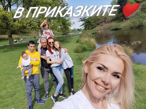 Видео: ДА ПОПАДНЕШ в ПРИКАЗКА