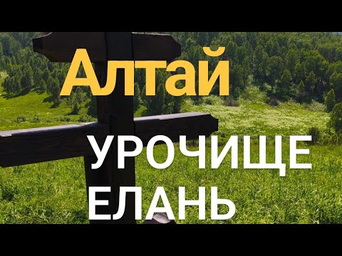 Видео: Алтай. Урочище Елань поставили крест 