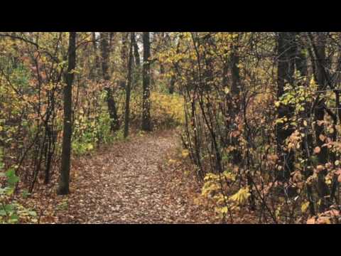 Видео: Абрахам Хикс. Эпизод 27. Научитесь вызывать в себе ощущение желания