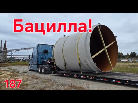 Видео: Однажды в Америке  187. Бацилла. #америка ##дальнобой #дальнобойщики 
