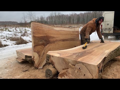 Видео: Ясень не перестаёт удивлять