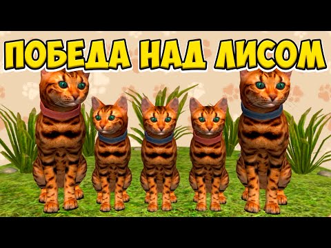 Видео: КАТ Сим Победила ЛИСУ в Рекордное Время! 😻