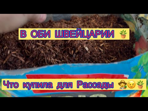 Видео: ЧТО КУПИЛА ДЛЯ РАССАДЫ 😉👩‍🌾 В ШВЕЙЦАРСКОМ ОБИ 👩‍🌾