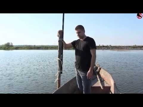 Видео: Установка визуального отпугивателя птиц КРУК на ставках