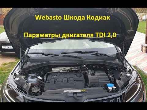 Видео: TDI 2.0 - 150 или 190 / Webasto, как это работает с Дизелем