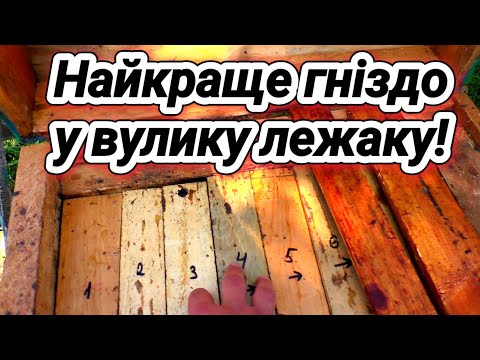 Видео: Як зібрати гніздо у вулику лежаку? Вентиляція та утеплення вулика лежака.