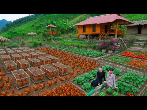 Видео: 4 года без доступа к электросети: продавали кур на рынке, выращивали еду самостоятельно