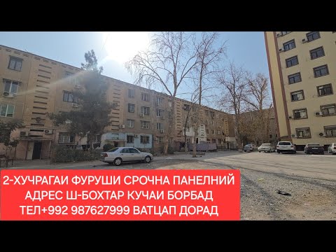 Видео: 2-ХУЧРАГАИ ФУРУШИ Ш-БОХТАР, ЧИСЛОИ 29,10,2025,СОЛ.