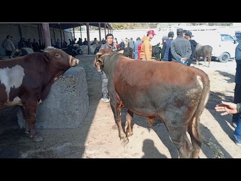 Видео: ЧОРШАНБЕ БОЗОРИ МАСКОВСКИ ХАМАДОНИ НАРХ БОЛОРАФТ БИНЕН ЧИШД