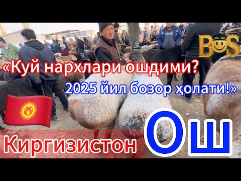 Видео: 🇰🇬 “Қўй бозорида ким ютади — сотувчимӣ ёки харидор?”#рекомендация #ферма #узбекистан #ферма #куйлик 