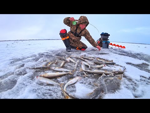 Видео: ПЕРВЫЙ ЛЕД 2023!! УШЕЛ ОТ ВСЕХ И НАЛОВИЛ!!