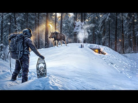 Видео: В ГЛУШИ под СНЕГОМ ОГРОМНЫЙ ДОМ - ЛОСЬ ПРИШЕЛ проверить