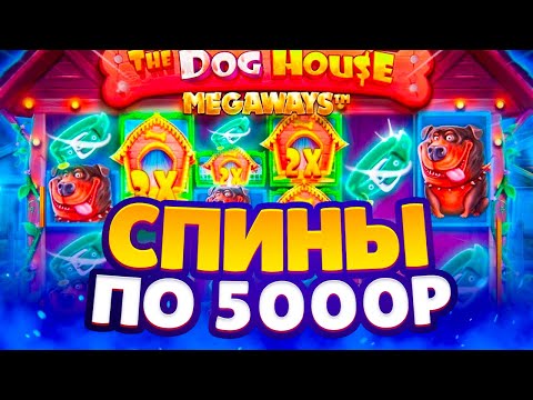 Видео: БОНУСКИ ПРОСТО СЫПЯТСЯ! ЛЮТЫЕ ЗАНОСЫ НЕДЕЛИ в THE DOG HOUSE!