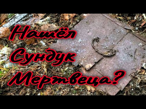 Видео: Если Рыба не Клюёт,то Металл всегда Попрёт.Осенний Метало Коп.