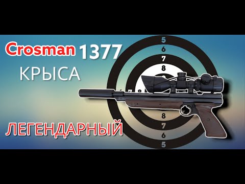 Видео: ТЮНИНГ для Crosman 1377 в народе крыса самый мощный пистолет