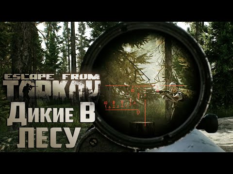 Видео: Лес Диких - Escape From Tarkov День 3 Развитие с Нуля