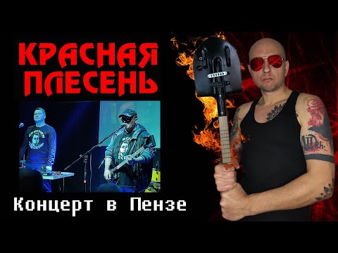 Видео: Красная плесень концерт в Пензе 07.02.2024