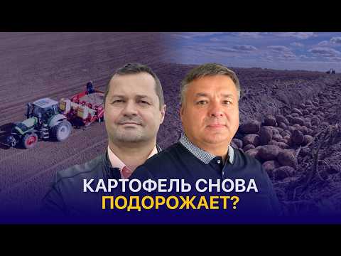 Видео: Рост цен на картофель, запрет экспорта и развитие казахстанской переработки — Павел Лущак