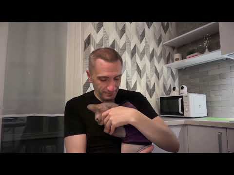 Видео: Хто розуміє, що відбувається?