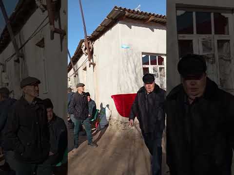 Видео: Болысбай Оразымбетов. 99_542_02_72.