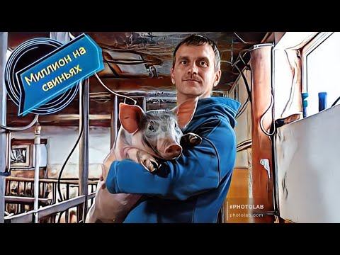 Видео: ‼️Проблемы с искусственным осеменением свиней‼️