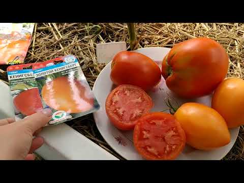 Видео: обзор 🍅 ,,Кенигсберг и золотой Кенигсберг,,
