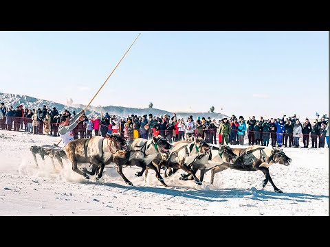 Видео: Как ненцы кочевники отмечают праздник в Салехарде | Ялэмдадʼ нумгы