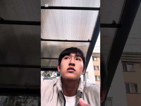 Видео: 24 октября 2025 г.