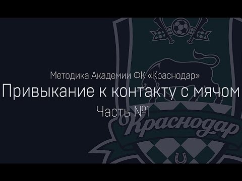 Видео: Привыкание к контакту с мячом. Часть 1