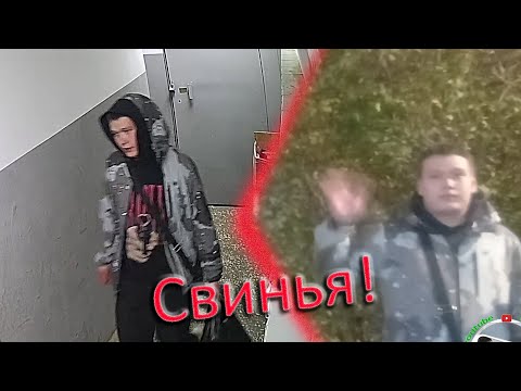 Видео: Пробалаболился бычкомёт не мужик!