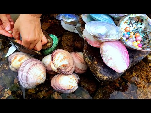 Видео: У этих драгоценных моллюсков есть жемчуг? как их получить