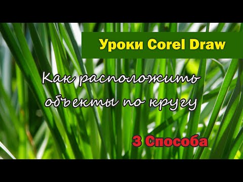 Видео: Уроки Corel Draw. Как расположить объекты по кругу в Корел. 3 способа.