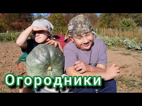 Видео: Собираем урожай Огромные АРБУЗЫ 😅 VLOG Семейный канал