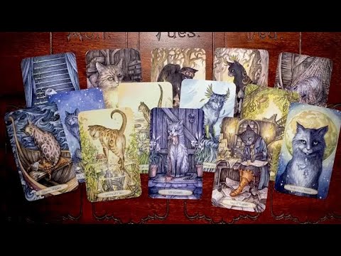 Видео: Что ПРОИЗОЙДЁТ в БЛИЖАЙШЕЕ ВРЕМЯ в ВАШЕЙ ЖИЗНИ? Что ПРИНЕСЕТ вам БУДУЩЕЕ? Онлайн гадание