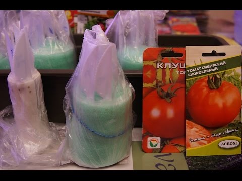 Видео: СЕЕМ ТОМАТЫ ИНДЕТЕРМИНАНТЫ  ЧАСТЬ 1