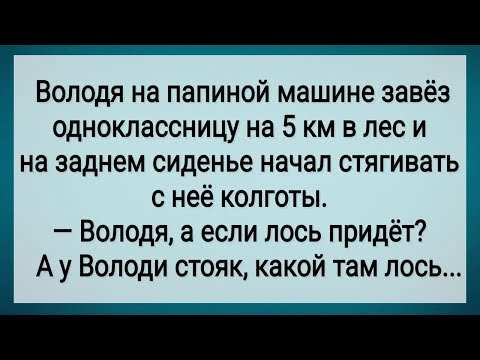 Видео: Как Володя Одноклассницу в Лес Повез! Сборник Свежих Анекдотов! Юмор!