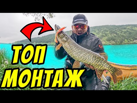 Видео: ЛОВЯ ГИ С ТОП МОНТАЖ ЗА РИБОЛОВ НА ЩУКА на обрасли места. Риболов на щука на язовир Батак