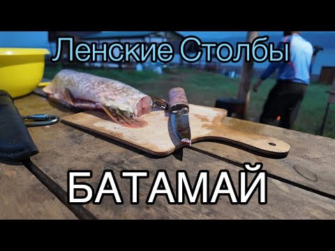 Видео: БАТАМАЙ| ЛЕНСКИЕ СТОЛБЫ БАЛЫКТААҺЫН[Рыбалка в Якутии]