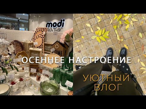 Видео: Осеннее настроение | шопинг в Modi | не пью кофе?