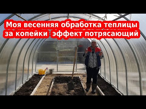 Видео: Обработка теплицы березовым дегтем// Теплица весной