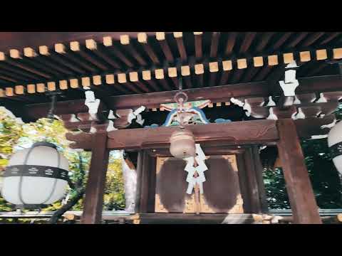 Видео: Що буде коли просто пройтися вулицями Кіото?