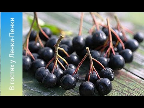 Видео: 🍇Варенье из черноплодной рябины//  2⃣ Два варианта! 🏋️‍♀️ Это не только вкусно, но и полезно!!!