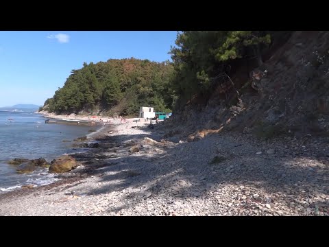 Видео: Черное море, село  Ольгинка кемпинги август.