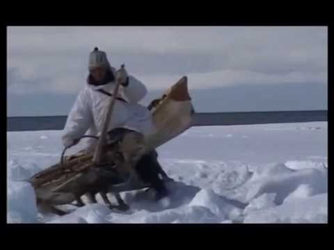 Видео: "Охотники студеных берегов"