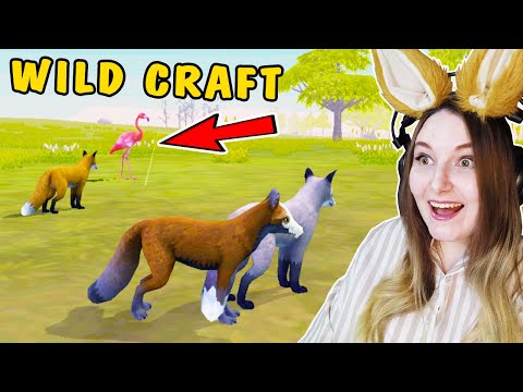 Видео: ПУТЕШЕСТВУЮ С СЕМЬЕЙ ЛИСИЧКЕК ПО МИРАМ В ИГРЕ НА ТЕЛЕФОН WILD CRAFT