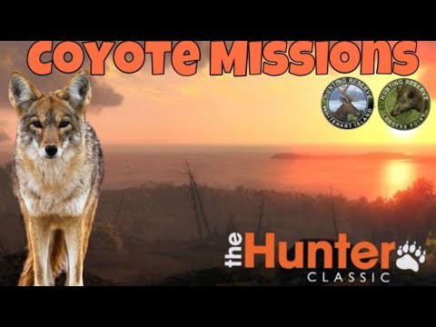 Видео: the hunter classic Coyote Missions! как пройти миссий на Койота! Северный квадрат!