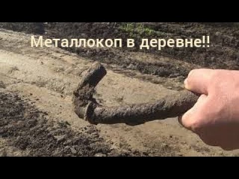 Видео: МЕТАЛЛОКОП В ДЕРЕВНЕ