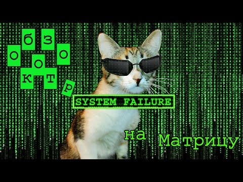Видео: КОТ ОБЗОР на Матрицу 4 фильма + игры