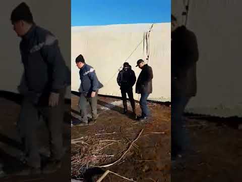 Видео: Боршетау